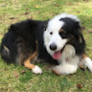 Meet your Posher, Steph